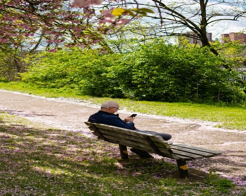 Hombre relajado leyendo un libro en silencio, tomando una pausa
